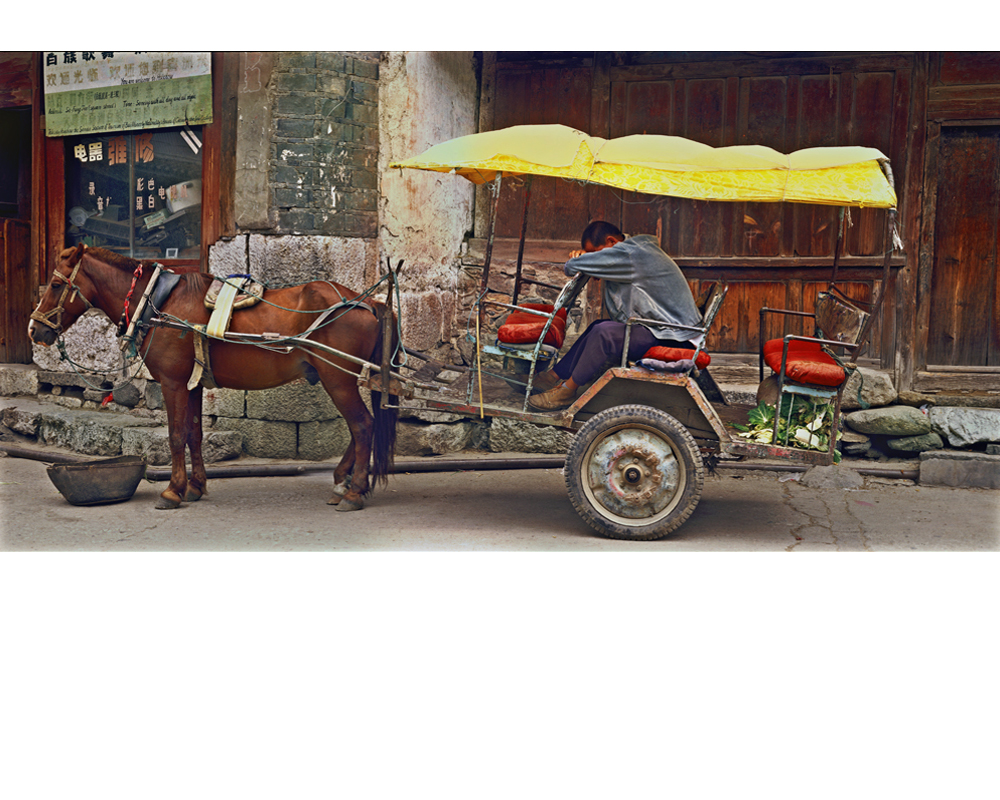 China Horse and cart sleeping driver and  horse photo by Raoul Butler